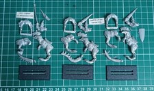 Warhammer Battle OOP Champion