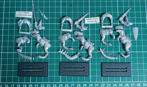 Warhammer battle oop champion - warhammer,