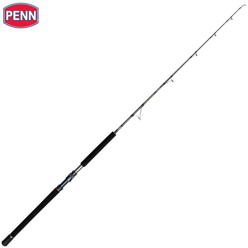 Canne lancer appâts penn - canne,