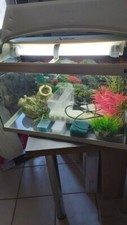AQUARIUM plus accessoires et décorations