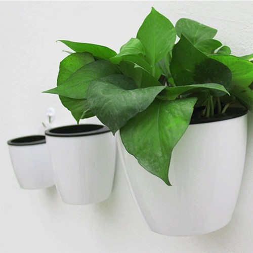 Fleur pot mural plastique - fleur,