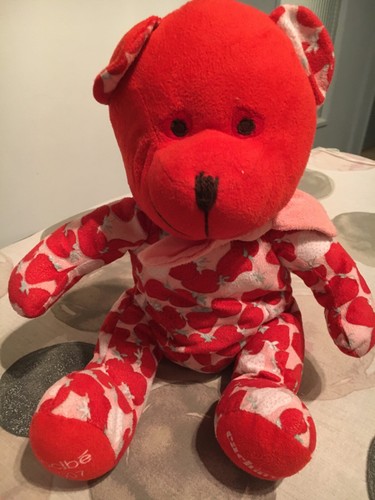 Chien ours teddy bear - teddy, bär