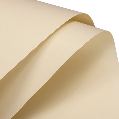20pcs papier fleuriste - papier,