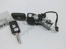 NEIMAN 4162XT PEUGEOT 3008 - 1