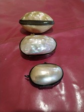 Collection D Oeufs En Nacre