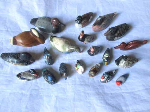 Collection canards - collection, 20
