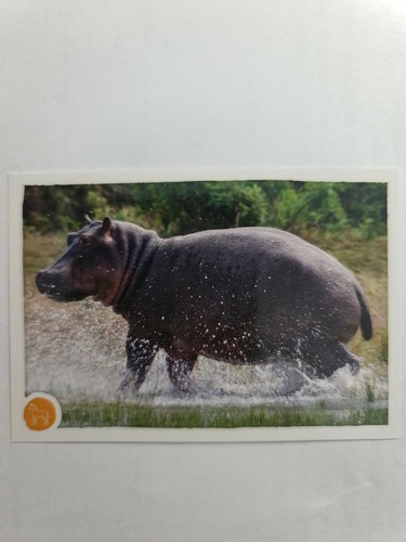 Image sticker autocollant