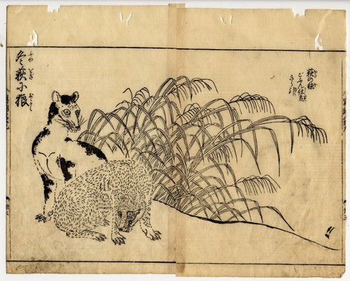 UW»Estampe japonaise
