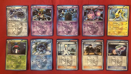 2013 pokémon team - 2013,