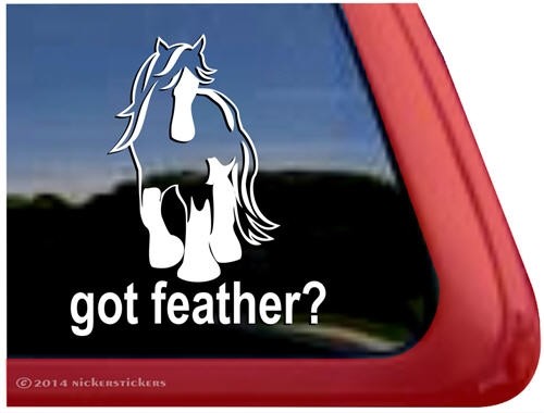 Got feather high quality - feather?, |
