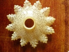 Ancienne suspension lustre - lustre,