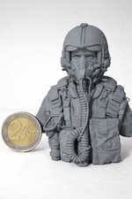 Buste Pilote F-14 TOP GUN 1:10