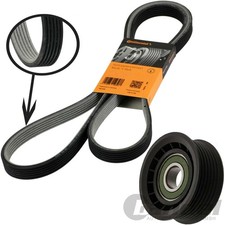 CONTI Courroie À Nervures +