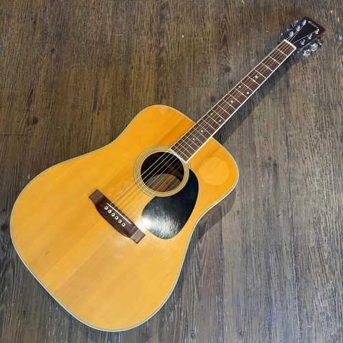 Guitare électrique acoustique
