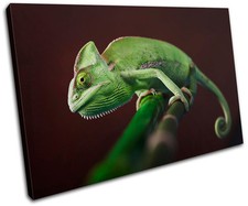 Gekko Wildlife Abstract SINGLE
