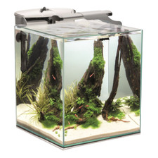AQUAEL Crevettes Set Duo Verre Blanc LED Nano Aquariumset Ensoleillé Plant 49 L