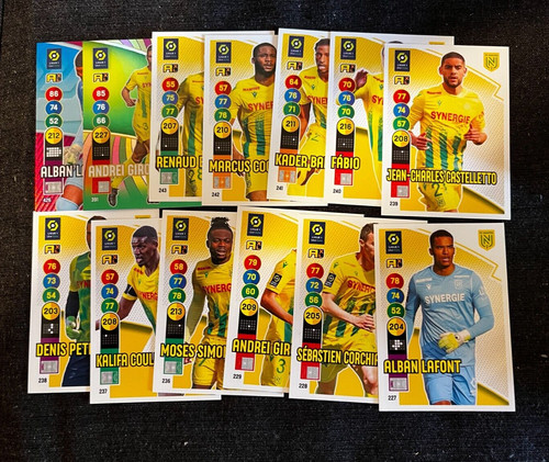 Lot cards panini adrenalyn - 13,