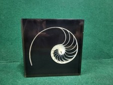 INCLUSION EN RESINE FOSSILE