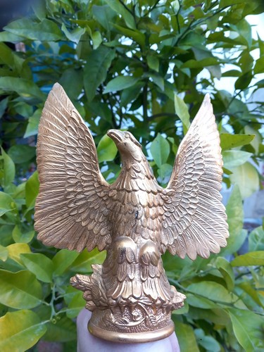 Aigle usa pygargue tête - aigle,