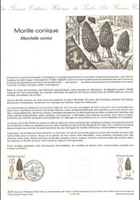 Document Officiel 1987 - Morille conique