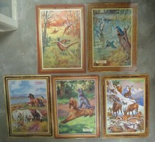 MANUFRANCE SAINT ETIENNE 5 anciennes grandes planches porte éphémérides animaux