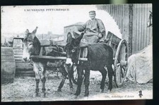 L AUVERGNE ATTELAGE ANES