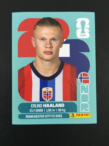Erling haaland sticker panini - erling,