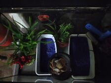 aquarium complet 60 litres