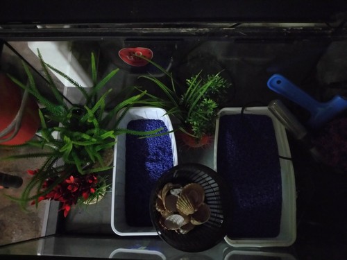 Aquarium complet litres - aquarium,