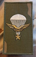 écusson de compagnie 1er RCP