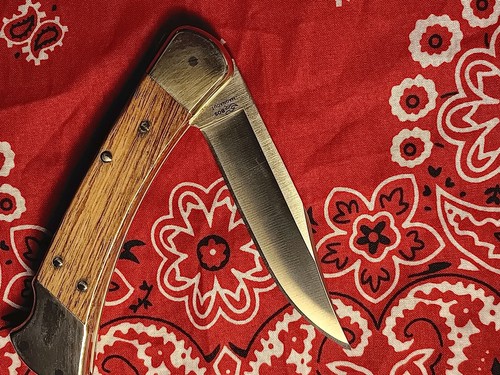 Buck 110 stealth magnacut - buck,