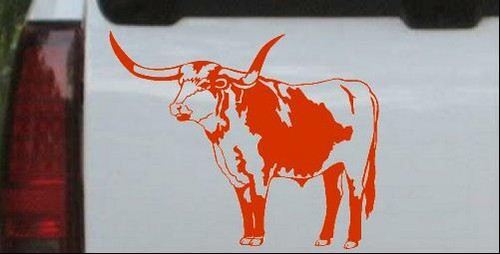 Longhorn bull car truck - car, or