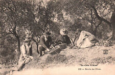 CARTE POSTALE - COTE D'AZUR - ALPES-MARITIMES - 06 - RECOLTE DES OLIVES