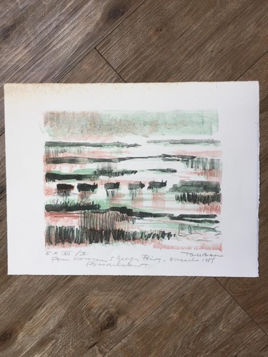 Lithographie originale - lithographie,