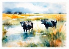 Tableau illustration