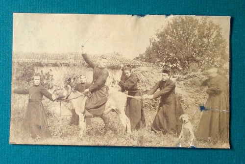 Photo ancienne albumine - photo,