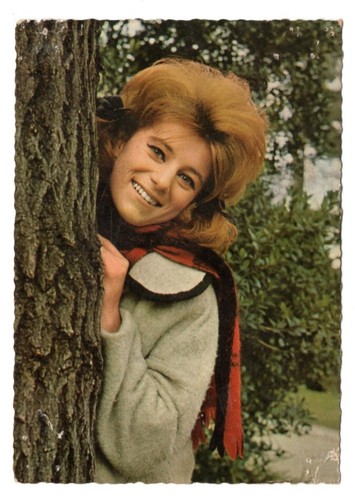 Sheila carte postale 338 - sheila,