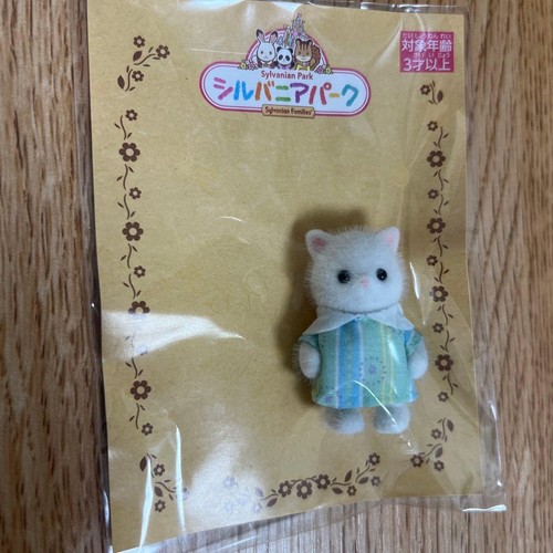 Chatons persans sylanian - chatons,