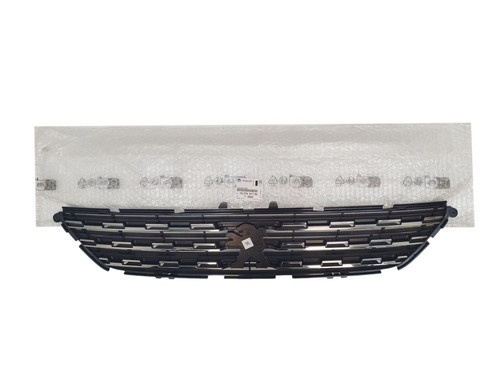 Grille par chocs - grille, chocs,calandre