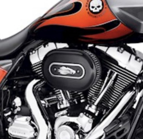 Screamin eagle gloss - eagle,