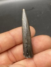 2.07'' / 5,26 cm - Very nice