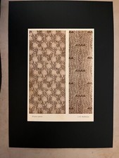 Reproduction d'une gravure