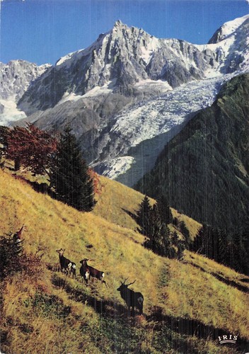 Morzine aiguille midi et - aiguille, du