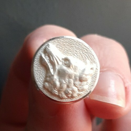 E05t06 tête loup blanc - tête,