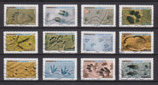 TIMBRES 2021 - EMPRUNTES D'ANIMAUX - YT 1956 à 1967 - SERIE FRANCE OBLITEREE AA