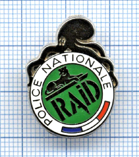 Pin raid fond vert - raid, groupe