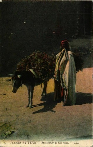 Cpa tunisia scenes types - scenes,