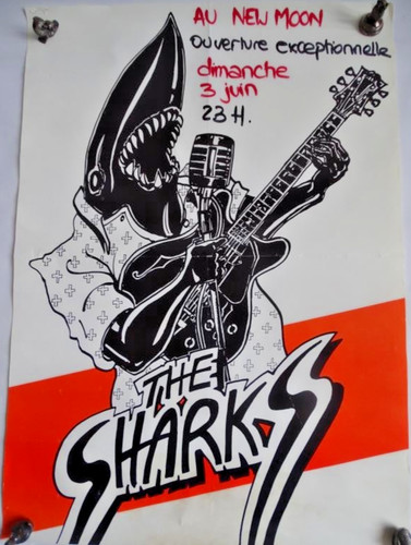 The sharks groupe - the,