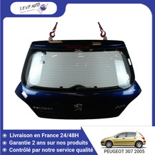 🇫🇷 HAYON PEUGEOT 307