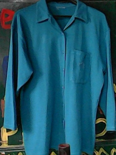 Chemise diane dalis bleu vert - diane,